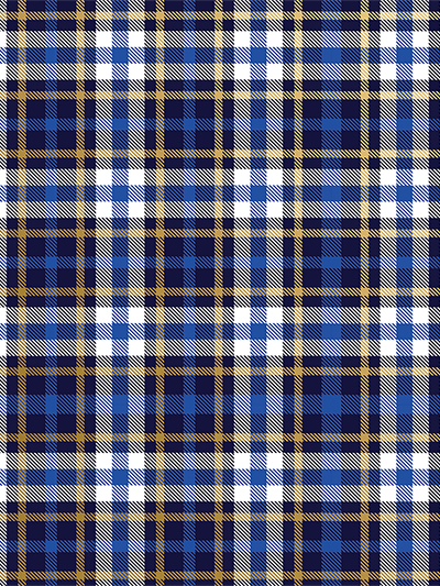 Blue Plaid